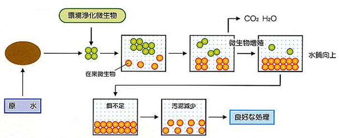 環境微生物(えひめAI)